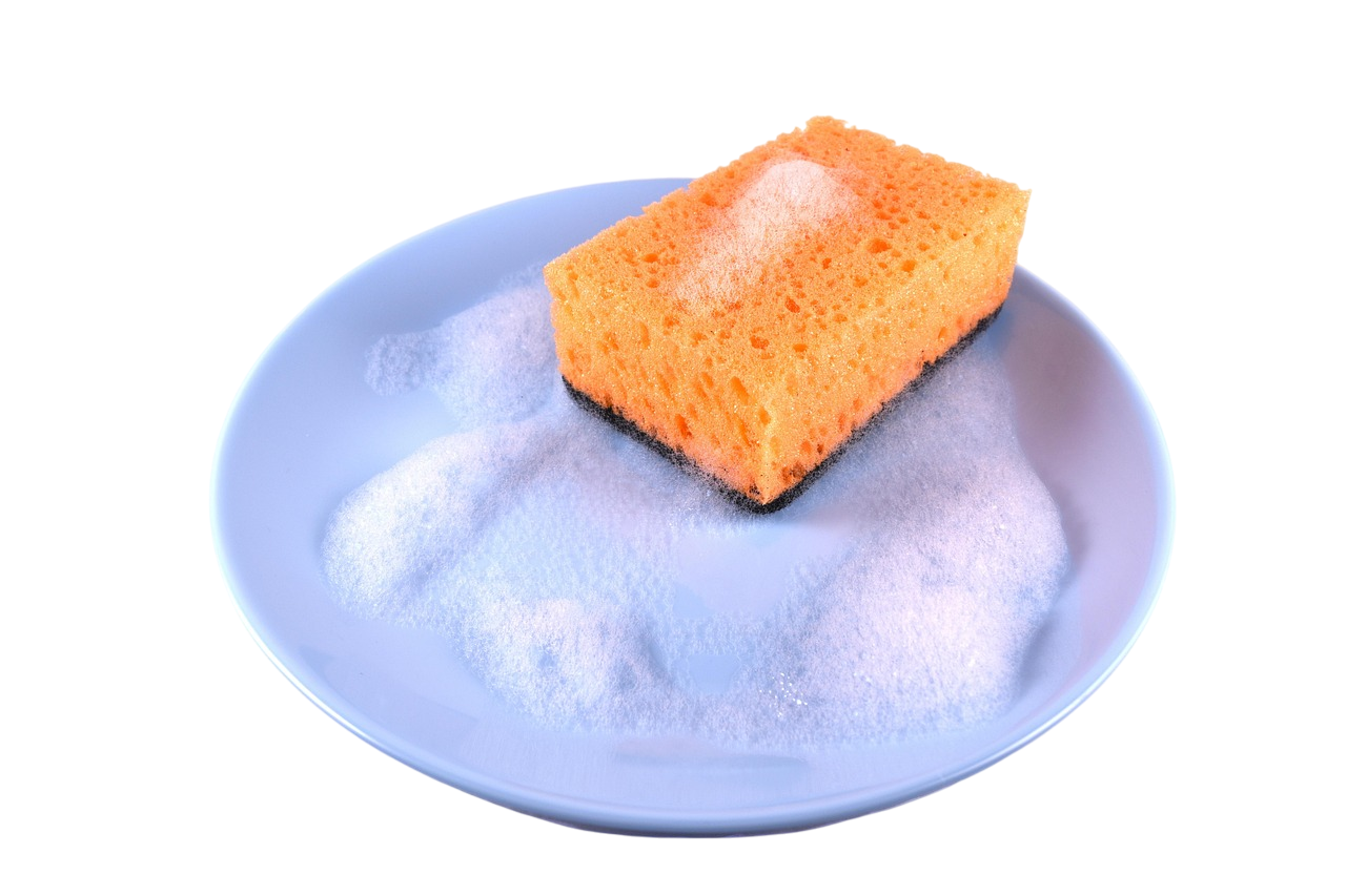 esponja