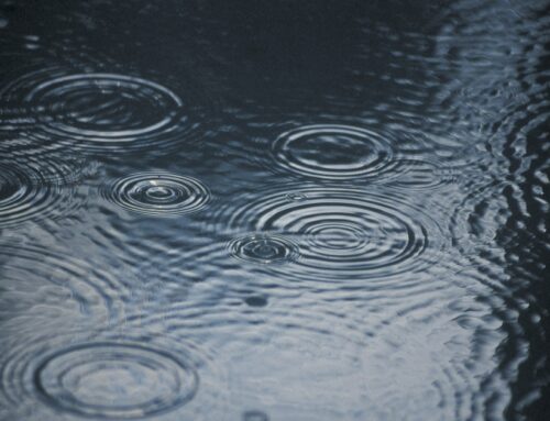 Preparación Empresarial ante Emergencias Climáticas